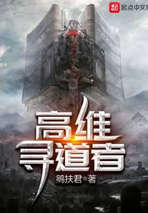 高维寻道者